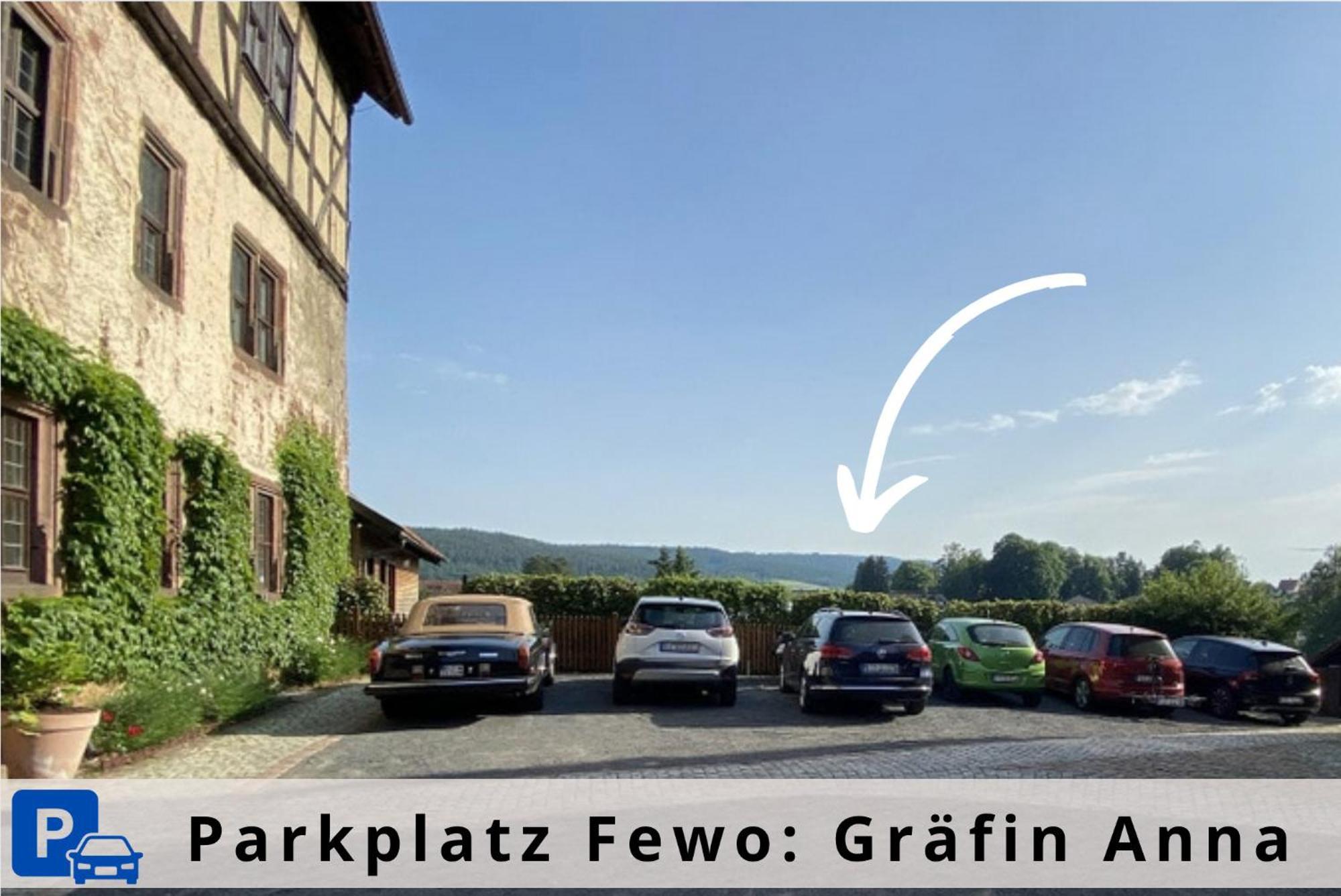 Graefin Anna - Design-Apartment In Der Historischen Hinterburg Schlitz - Nahe Fulda Und Bad Hersfeld Esterno foto